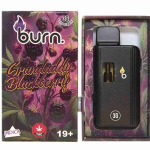 Burn 3mL Disposable Vapes – Granddaddy Blackberry THC Distillate